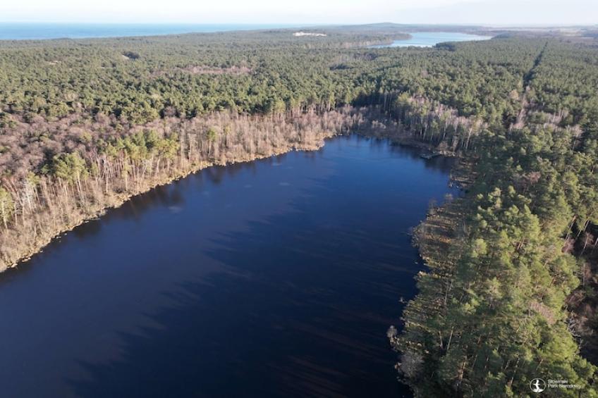 Dom wakacyjny z Klimatem Smołdziński Las - foto 22