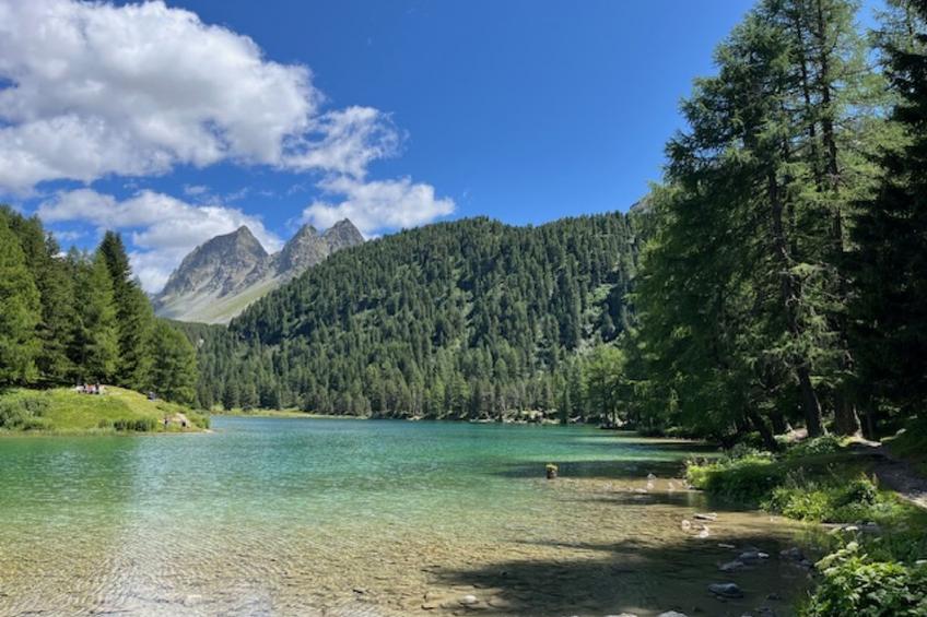 Albula B Chasa Nana, (Bergün/Bravuogn), 232 - foto 46