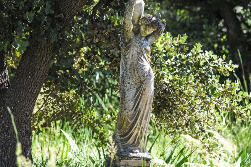 La Chênaie - foto 50