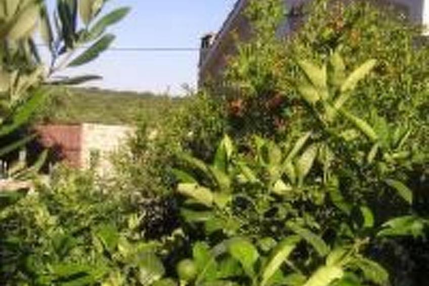 "Vila SanAdrija" - foto 12