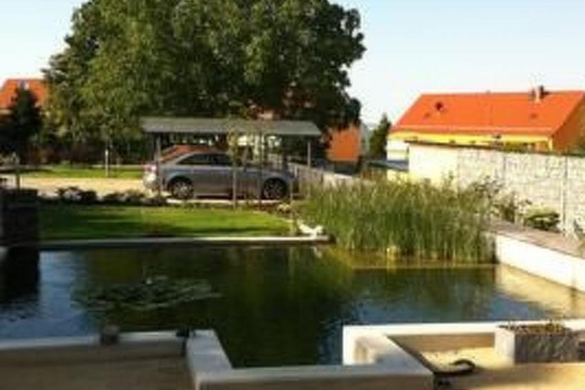 Steinwender - foto 4