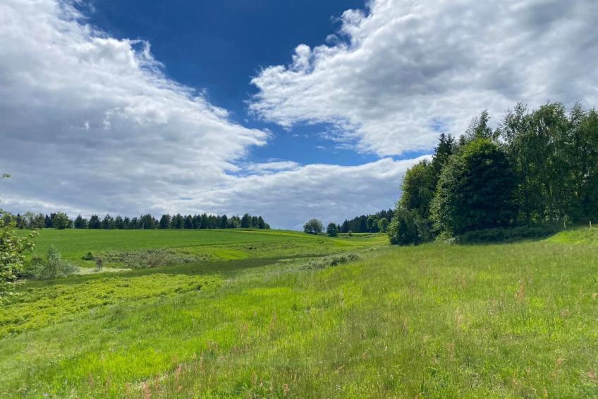 Frankenwald Lodge - foto 36