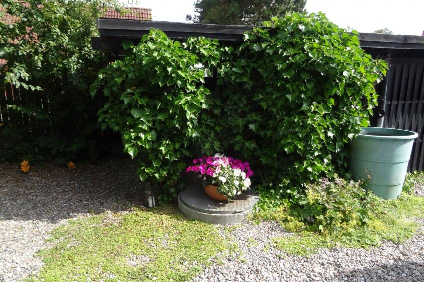 Zum Leuchtturm - foto 30