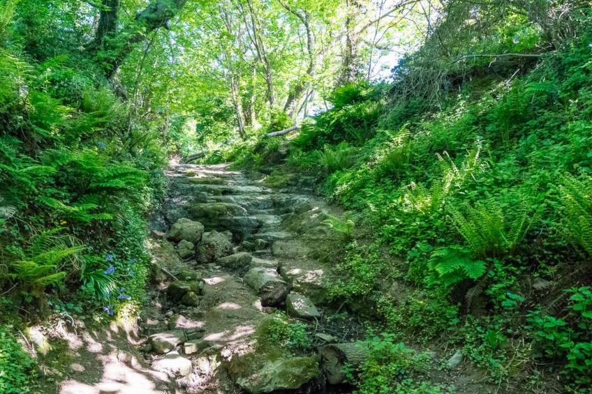 Schönes Ferienhaus in Hastings mit Whirlpool, Terrasse und Garten - foto 38