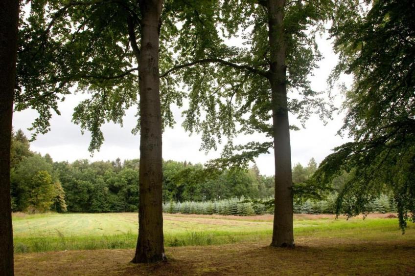 Im Erzgebirge - foto 22