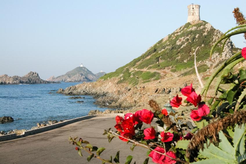 Apartment Terrasse Panoramablick auf den Golf - foto 27