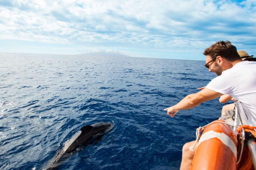 "Aquarius" mit Wasserblick - foto 13