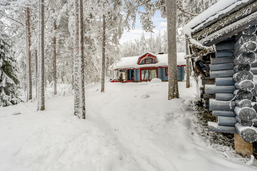 Kivalikkolampi - foto 29