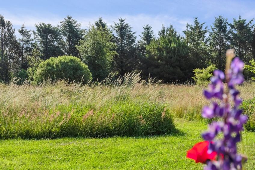 "Elsia" - 1.5km to the inlet in NW Jutland - foto 10