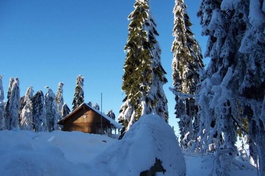 am Weißenstädter See - foto 21