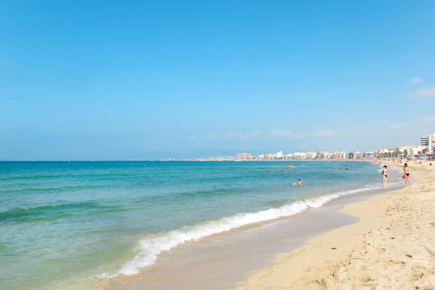 Caballeria 16 Familiar - foto 9