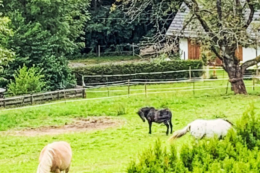 Apartamento Giovanna - foto 32