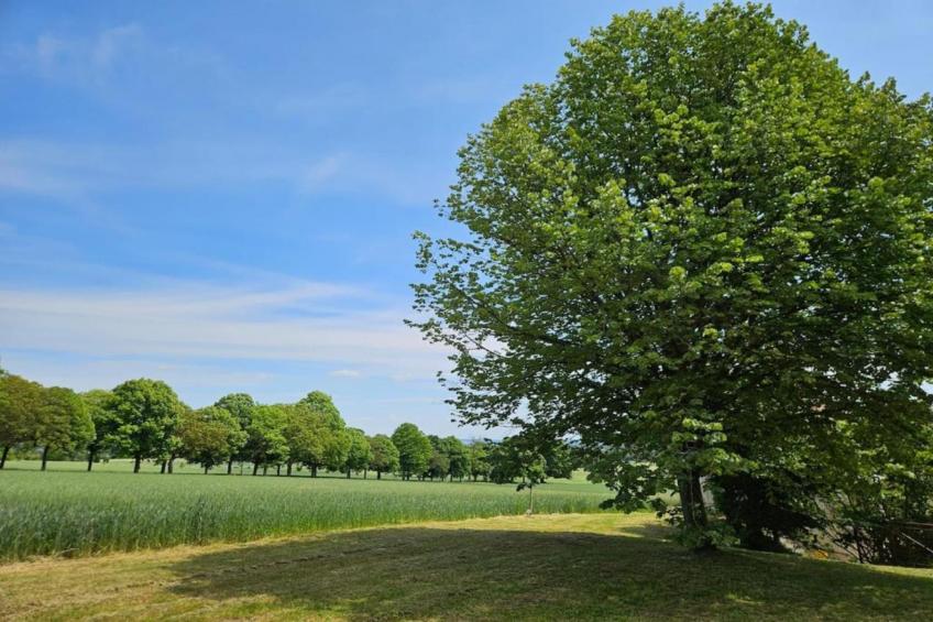 Maison de vacances - Sossay - foto 27