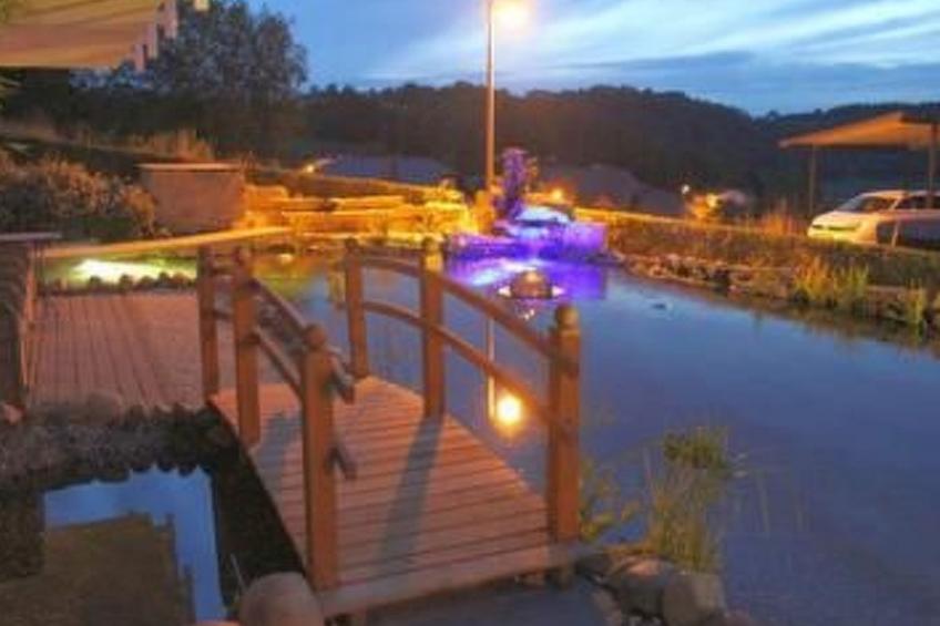 Maaridyll in Schalkenmehren - foto 9