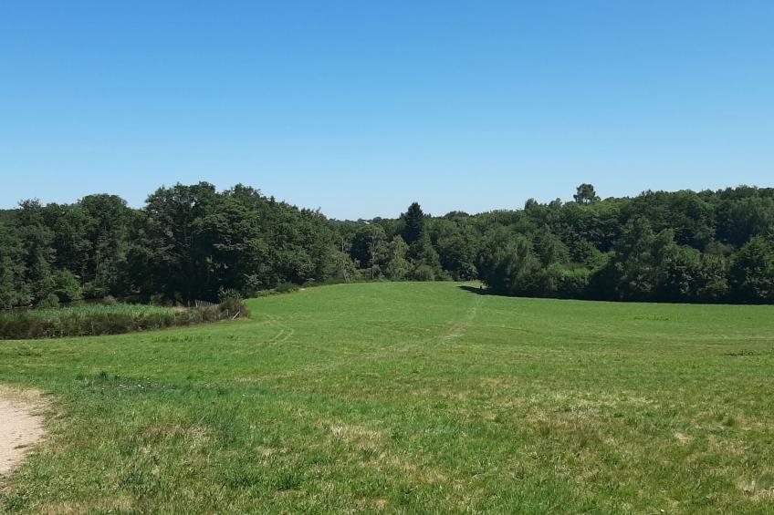 Chalet B10 Yemanisi in der Dordogne - foto 72