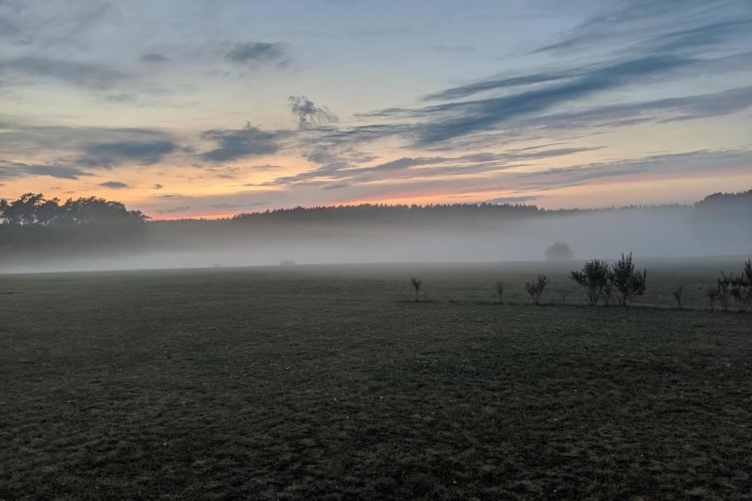 Vakantieresort Van der Valk, Linstow - Type C - foto 21