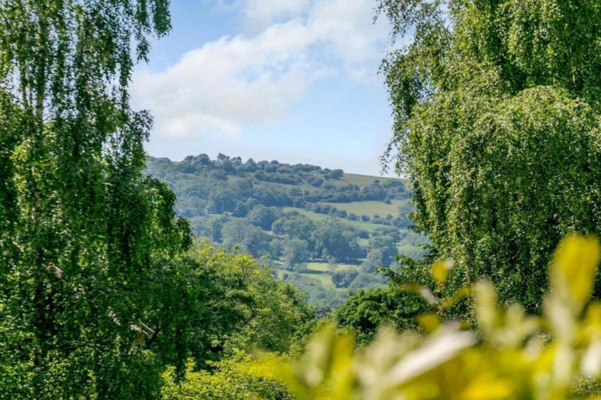 Shaky's Penthouse - foto 16