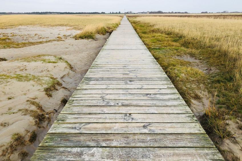 Altstadthus - gemütliches Ferienhaus mit romantischem Garten - foto 27