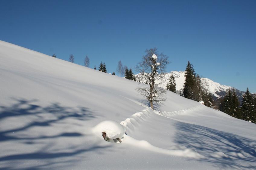 Bergchalet - foto 32