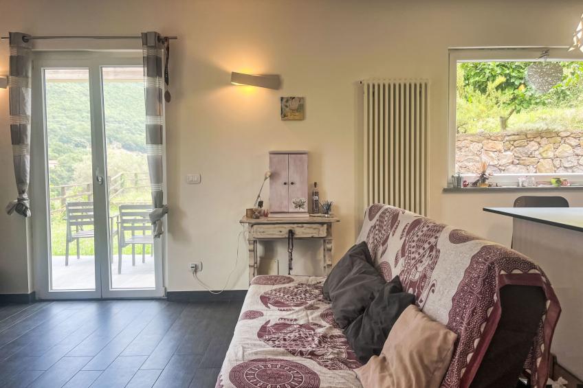 Le radici dell´ulivo - foto 13