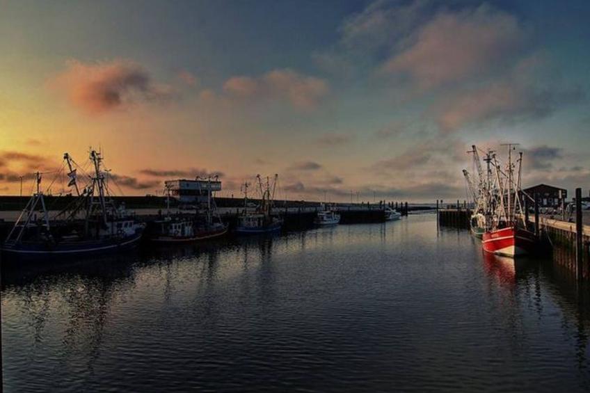 Haus Hanni - foto 35