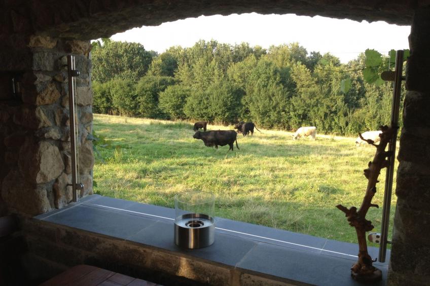 Thermen Apartment - foto 33