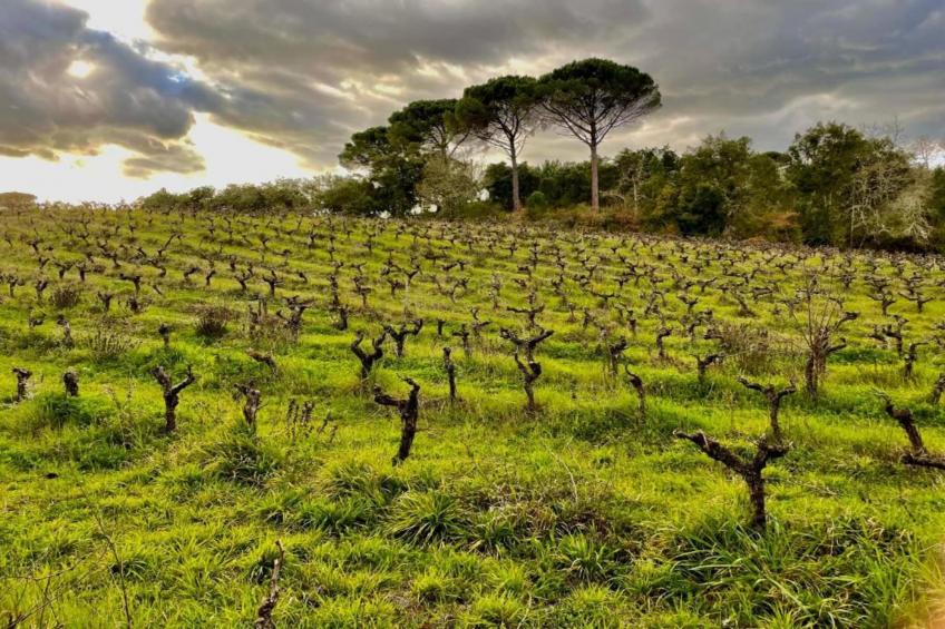 Casa Bela Esperança - foto 32