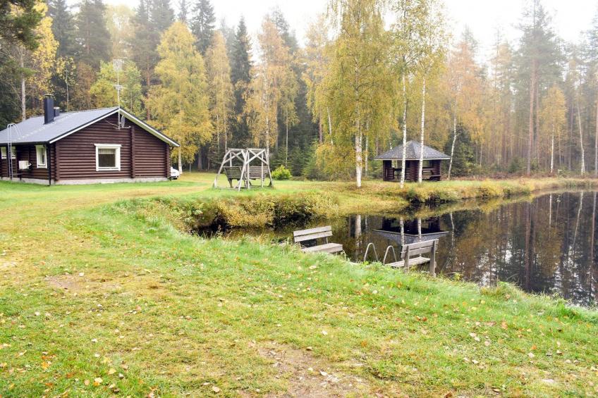 Koli, metsälä - foto 20