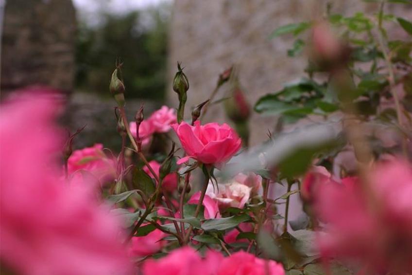 Anwesen mit eigenem Pool - foto 12