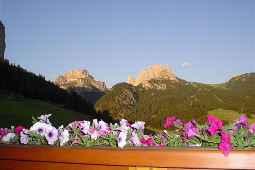 21743 - foto 14