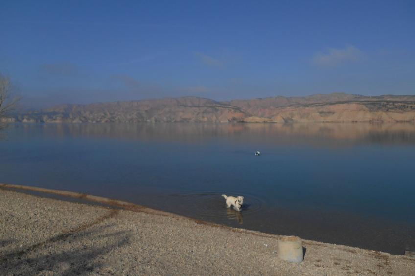 mit Garten und gemeinsamem Pool - foto 8
