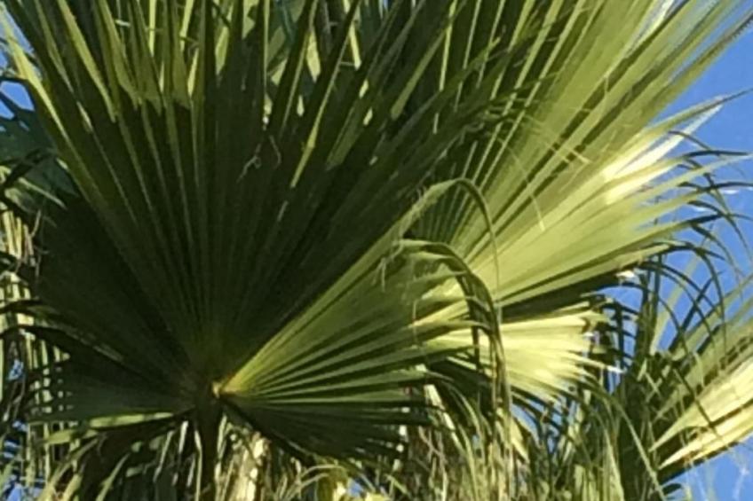 Wohnung in Pallini mit Eigener Terrasse - foto 37