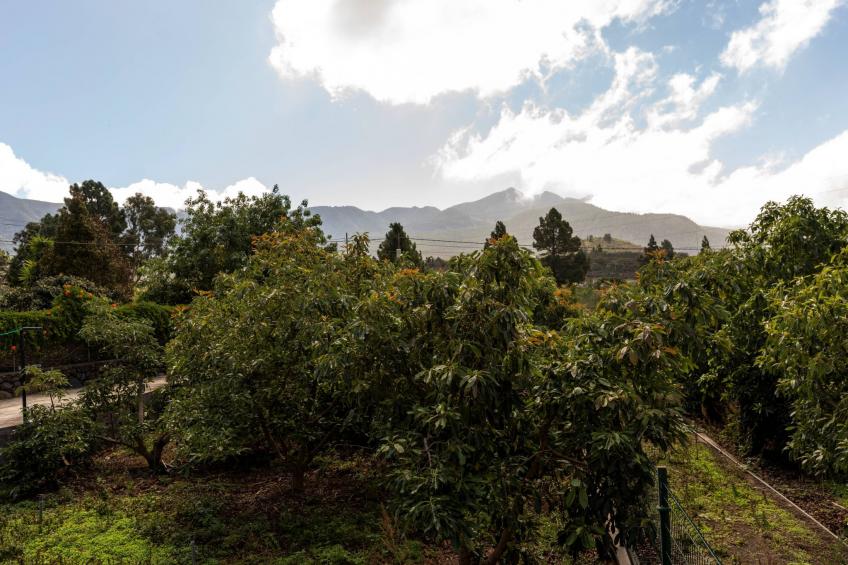 Mondschein - foto 20