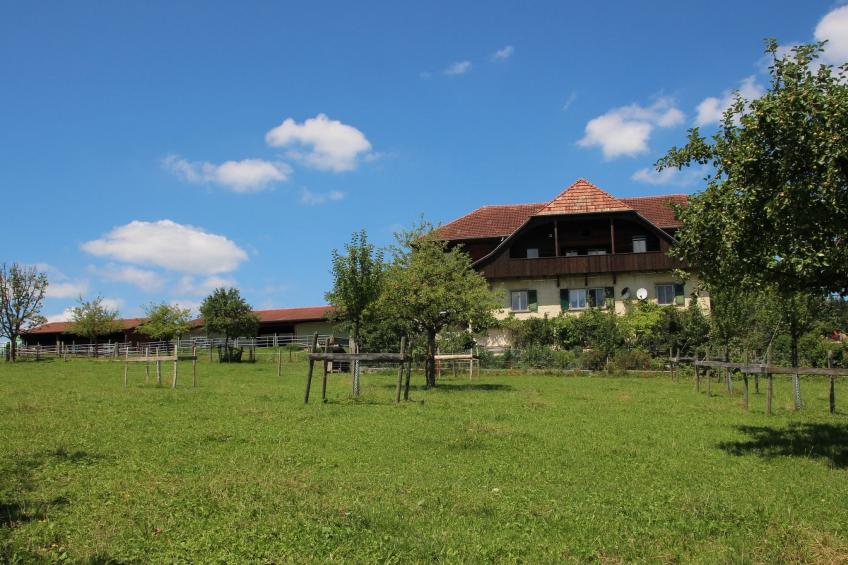 Appartement - Serena, (Courtetelle), - foto 11