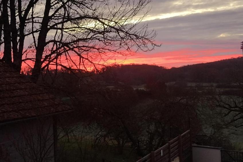 The Studio - foto 36