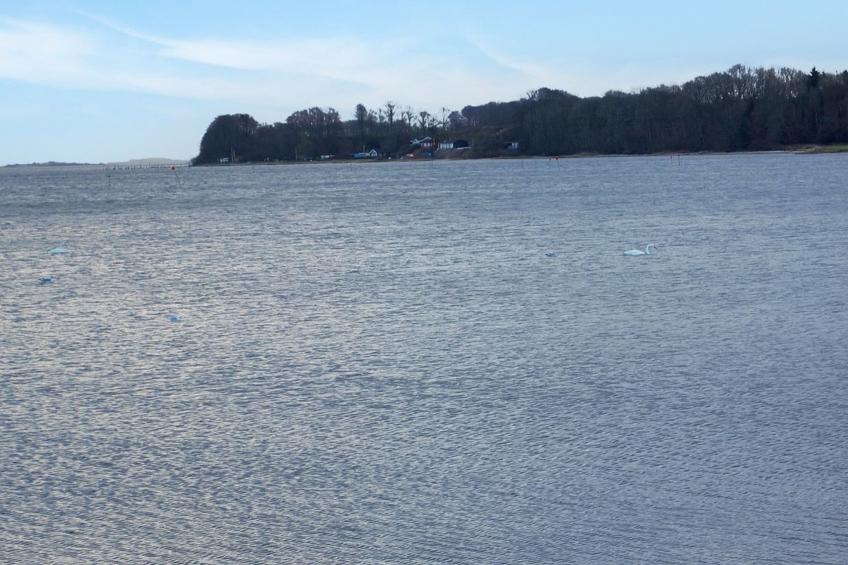 "Majbritt" - 50m from the sea in SE Jutland - foto 26