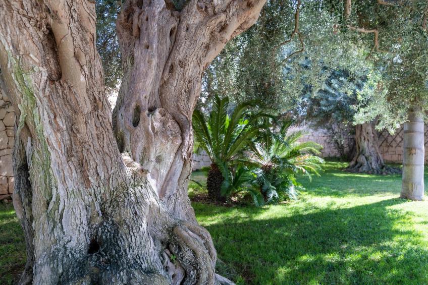 Villa Montalbano - foto 22
