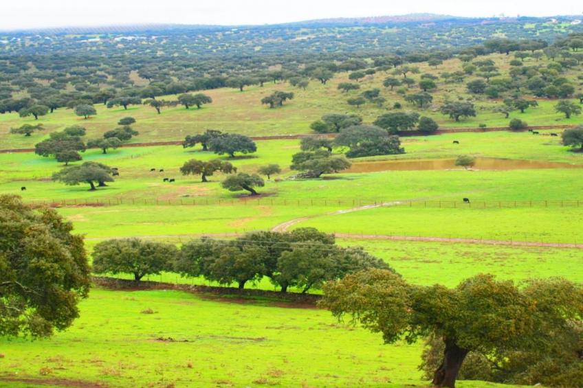 Ideales Refugium in Extremadura Komfort und Natur