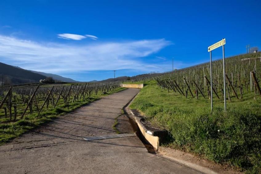 Le Domaine des Rois - foto 26