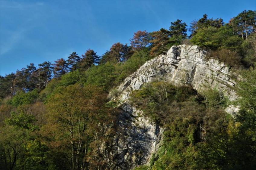 Li Vêrt Veschau - foto 36