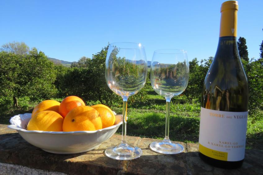 Appartement in San Pablo De Buceite mit Kleinem Garten - foto 24