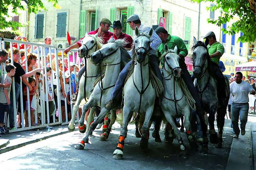 Eine kleine Ecke der Provence. Privater beheizter Pool - foto 50