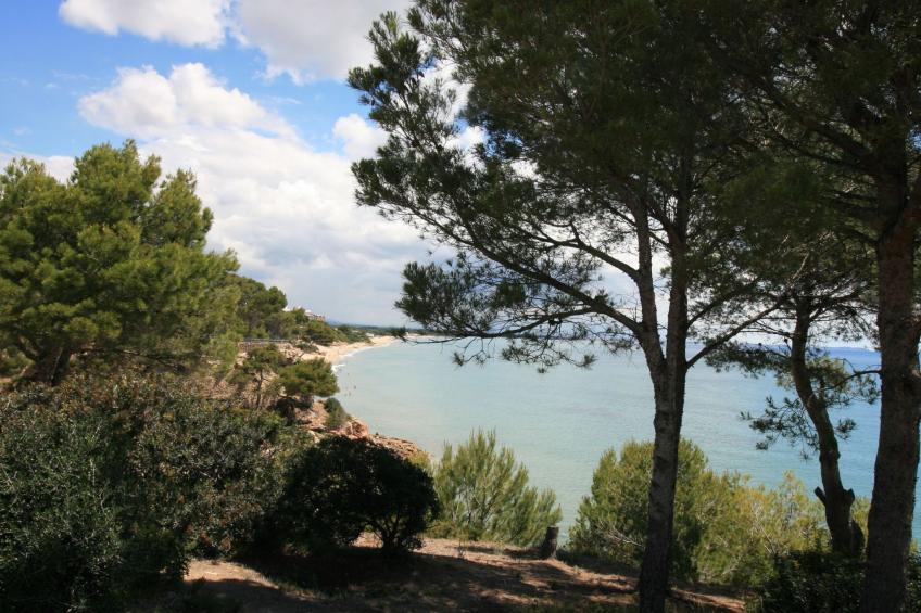 Prächtiger Meerblick - foto 31