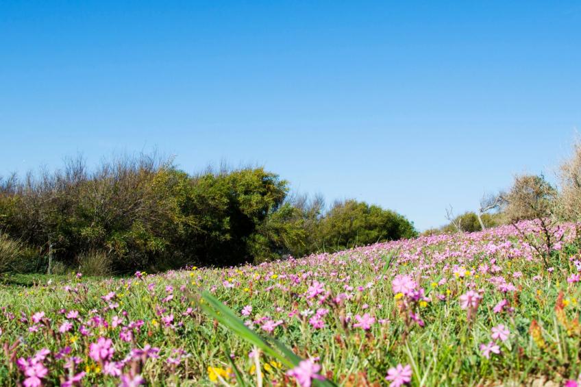 Wohnung 4 - Studio - foto 26