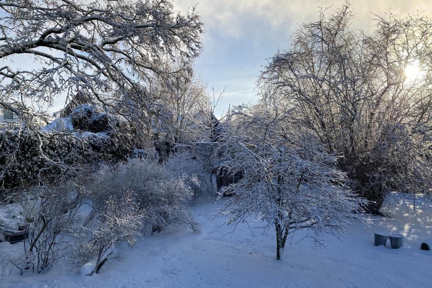 De Herberg - foto 19