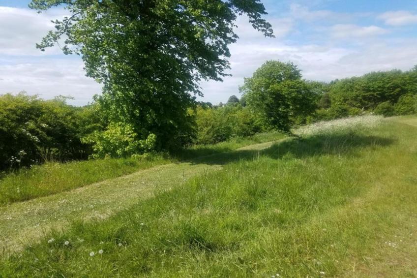 Wisteria at the Rookery - foto 28