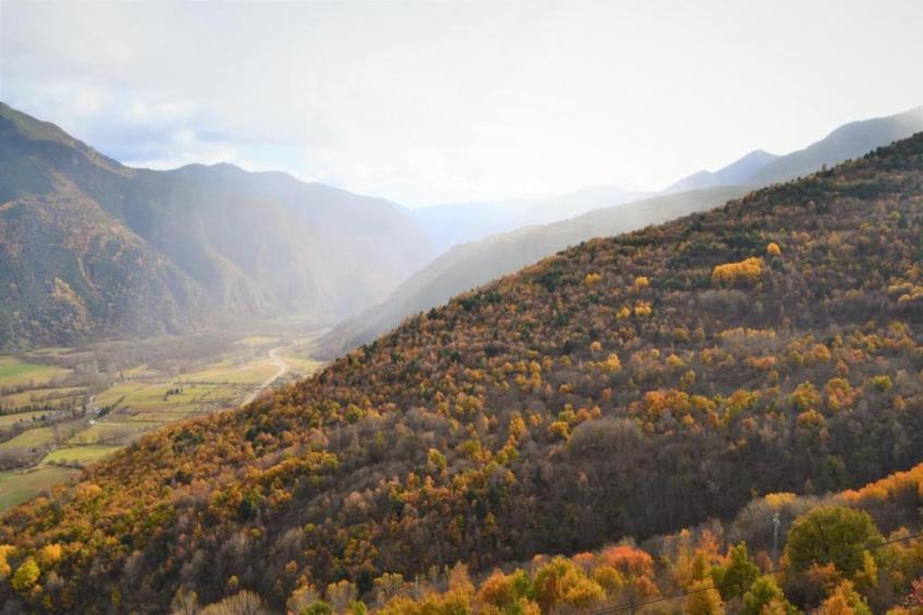 Cobert d'en Piarró - foto 35