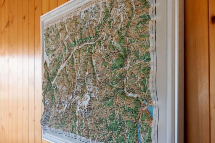 Belmont Est - foto 17