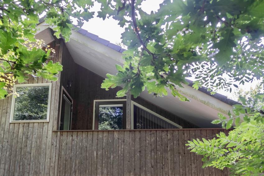 Huis in de Bossen - foto 22