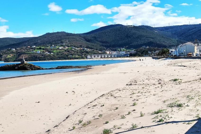 Quinta do Couto - foto 37